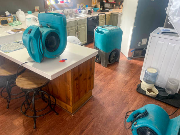Best Water damage contractors near me  in Yazoo City, MS
