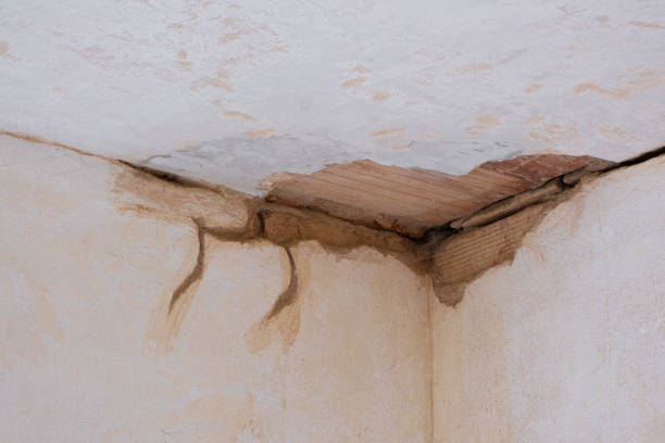 Best Commercial water damage restoration  in Yazoo City, MS