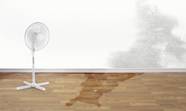 Best Water damage restoration near me  in Yazoo City, MS