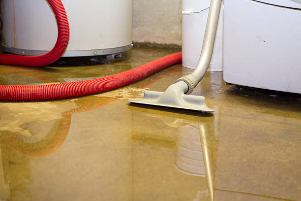 Best Mold removal after water damage  in Yazoo City, MS