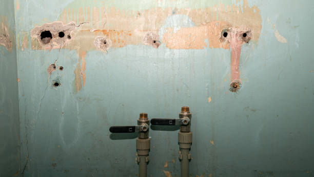 Best Ceiling water damage repair  in Yazoo City, MS