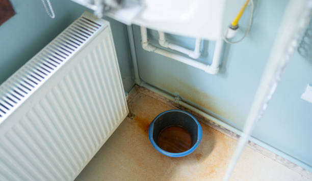 Best Carpet water damage restoration  in Yazoo City, MS
