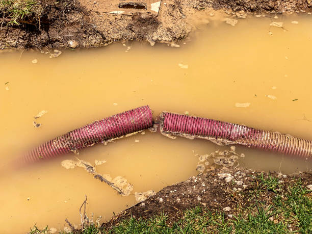  Yazoo City, MS Water damage restoration Pros