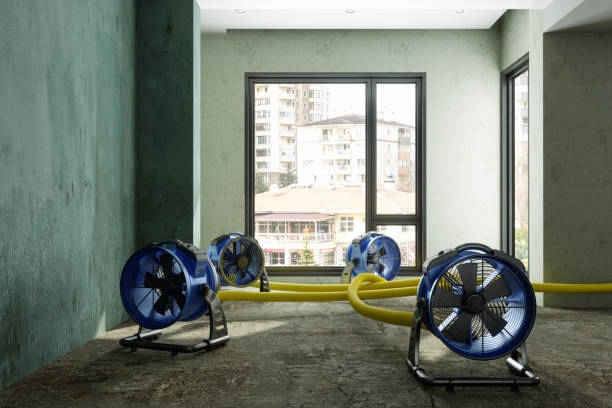 Best Water damage restoration near me  in Yazoo City, MS